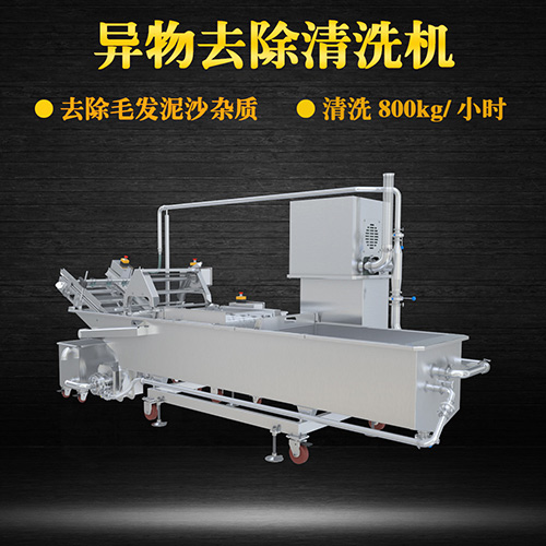 果蔬專用清洗機(jī)，氣泡清洗，清洗800kg小時(shí)