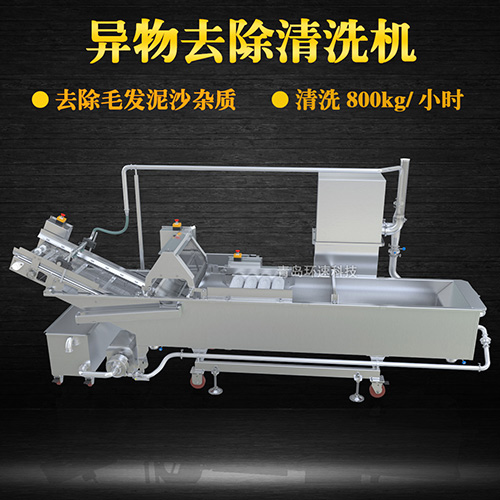 商用專業(yè)果蔬清洗機(jī)，氣泡清洗，清洗800kg小時(shí)