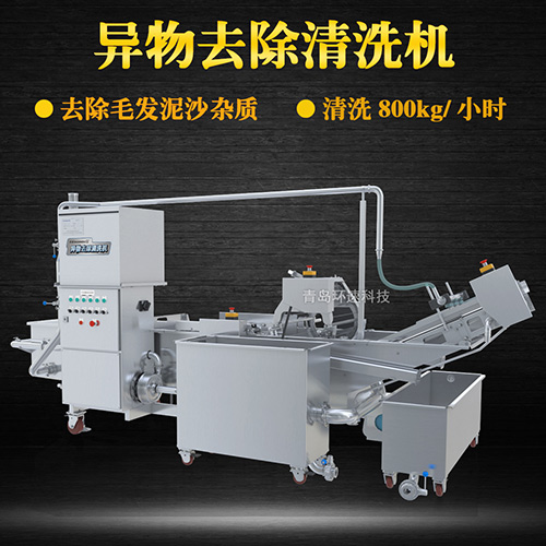 商用專業(yè)果蔬清洗機(jī)，氣泡清洗，清洗800kg小時(shí)