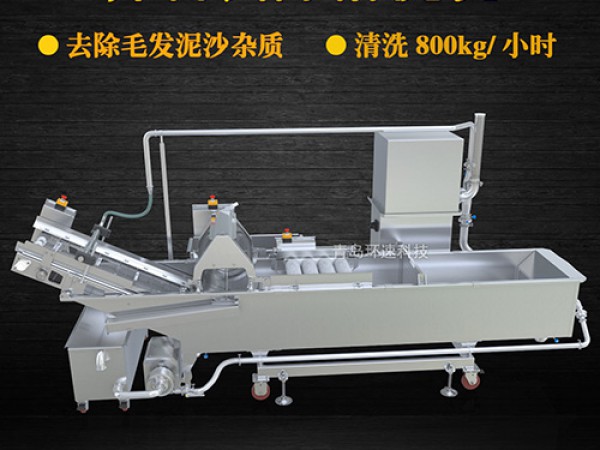 蔬菜清洗機(jī)，氣泡清洗，清洗800kg/小時(shí)